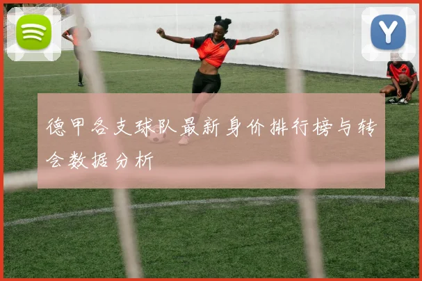 德甲各支球队最新身价排行榜与转会数据分析
