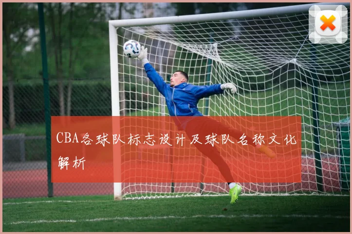 CBA各球队标志设计及球队名称文化解析