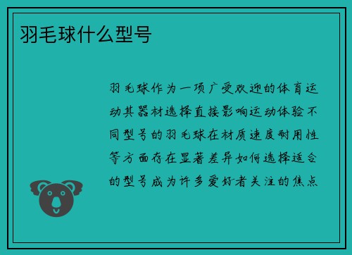 羽毛球什么型号
