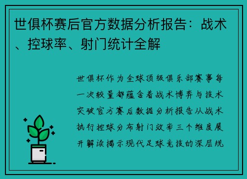 世俱杯赛后官方数据分析报告：战术、控球率、射门统计全解
